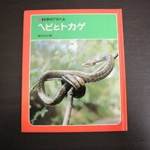 特3 73142★ / 科学のアルバム73 ヘビとトカゲ 1985年4月発行 あかね書房 著:増田戻樹 丸みできる秘密 おそろしい毒ヘビ 産卵 ふ化 脱皮_画像1