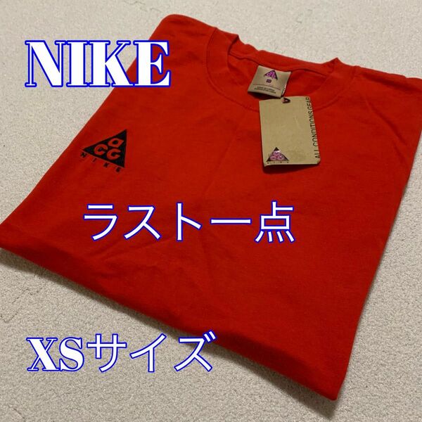 新品未使用 タグ付き NIKE ナイキ ACG Tシャツ 刺繍 XSサイズ