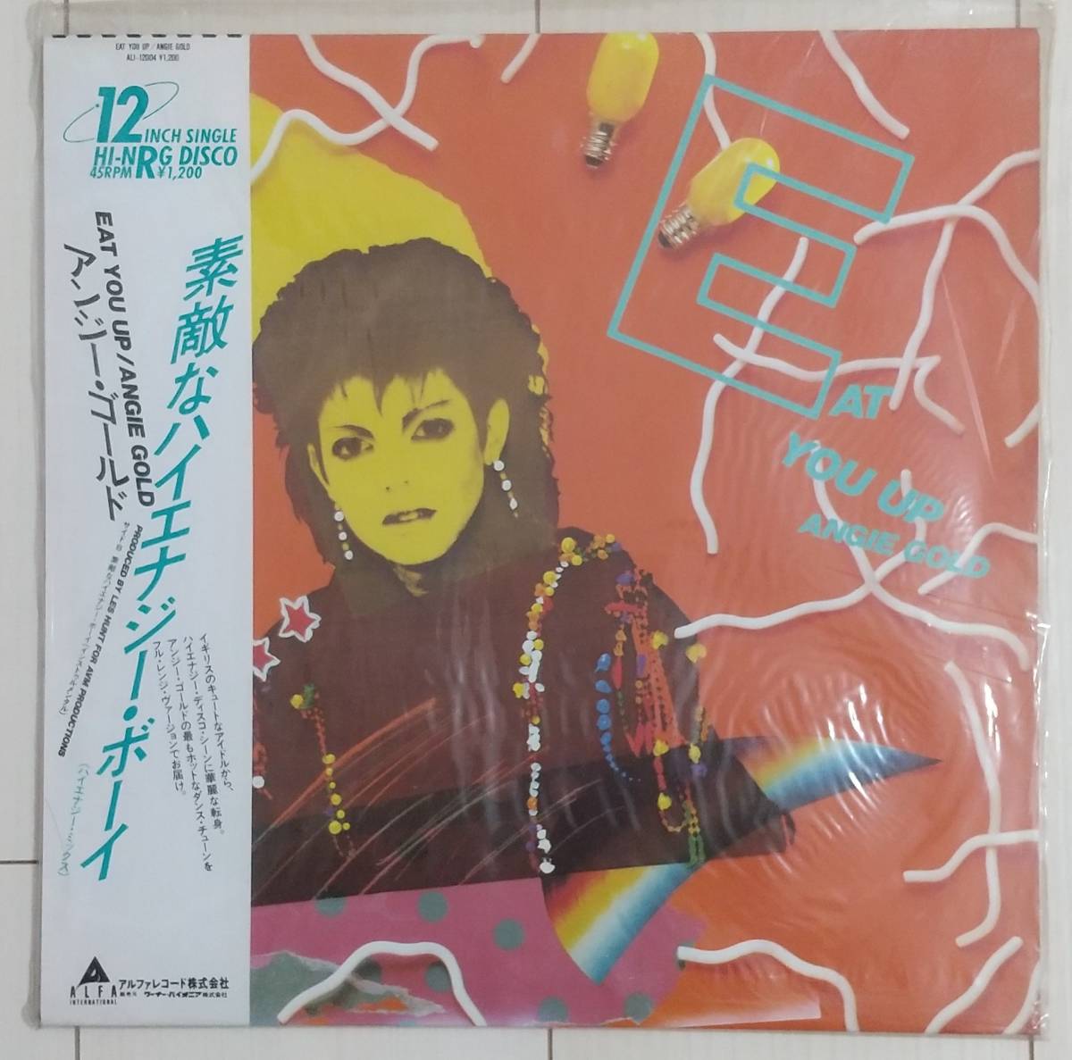 格安即決 ハイエナジー ユーロビート 12枚 セット 80s ANGIE GOLD など