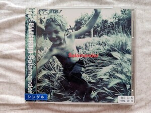 ELLEGARDEN 「Salamander」 中古CD（レンタルアップ品）