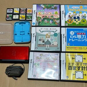 ニンテント-DS LITE ゲームソフト付き Nintendo DSソフト 