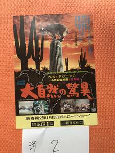 映画チラシ「ウォルトディズニー 大自然の驚異」 洋画2