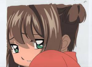*2 шт. комплект Cardcaptor Sakura * цифровая картинка анимация комплект 