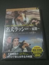 名犬ラッシー ～家路～　DVD　新品未開封品　即決 　_画像1