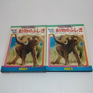  почему .. учеба иллюстрированная книга почему .. животное. ... Showa 45 год Shogakukan Inc. 