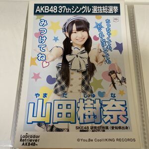 AKB48 山田樹奈 ラブラドールレトリバー 劇場盤 生写真 選挙ポスター 選抜総選挙 SKE48