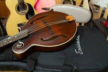 人気のイーストマン　オール単板削り出し　Eastman MD-315 with PU アンプに繋げる マンドリン　イーストマン　MD315　mandolin_画像2