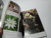 ◇”花紀行1《尾瀬の花(ザゼンソウ,水芭蕉,ワタスゲ,…》”☆送料130円,ハイキング,尾瀬沼,散策,収集趣味_画像8