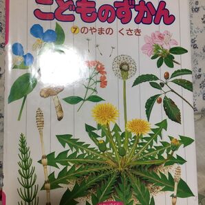 体験を広げるこどものずかん 7 のやまのくさき
