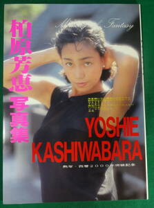 柏原芳恵 /柏原よしえ 写真集『YOSHIE KASIWABARA 熱写・西暦2000年突破記念 』●2023