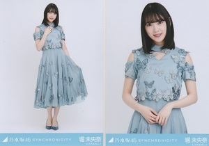 ★公式グッズ　乃木坂46 生写真 2枚 堀未央奈 シンクロニシティ SYNCHRONICITY 会場限定 セミコンプ