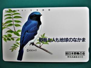 野鳥も人も地球のなかま　オオルリ　テレホンカード