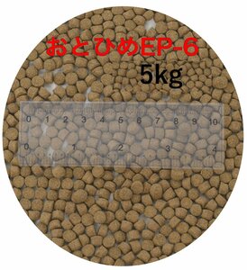 日清丸紅飼料 おとひめEP6(約5.4mm～約6.4mm) 5kg(500g×10袋) 沈降性(沈下性) 金魚 アロワナ 肉食魚に