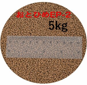 日清丸紅飼料 おとひめEP2(約1.9mm～約2.0mm) 5kg(500g×10袋) 沈降性(沈下性) 金魚 アロワナ 肉食魚に