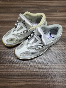 NIKE AIR JORDAN LOW 11 エアージョーダン11ロー　24.5cm ホワイトセメント　希少　オリジナル