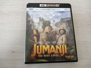 ジュマンジ/ネクスト・レベル (4K ULTRA HD+Blu-ray Disc)