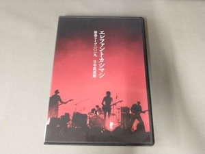 DVD 新春ライブ2019 日本武道館(通常版)