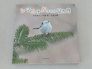 写真集 シマエナガさんの12カ月 山本光一