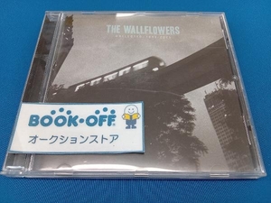 ザ・ウォールフラワーズ CD 【輸入盤】Collected: 1996-2005