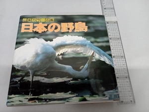 日本の野鳥 高野伸二