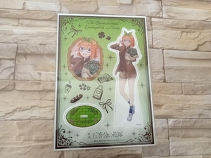 現状品 未使用品 五等分の花嫁　メガアクリルスタンド　中野四葉　旅行Ver.