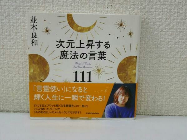 並木良和の値段と価格推移は？｜12件の売買データから並木良和の価値が