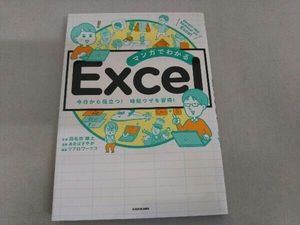 マンガでわかるExcel 羽毛田睦土