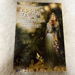 エンジェル・フェアリー　自然の天使・妖精たちに願いましょう ドリーン・バーチュー／著　奥野節子／訳