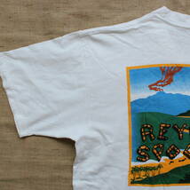 1990s レインスプーナーreyn spoonerハワイ サーファー ヴィンテージ TシャツUSA アメリカ サーフィン ビーチ マウイ島 アート 古着 Hawaii_画像6