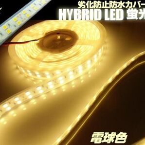 24V 5M 劣化防止 カバー付 2列発光 LED テープライト 電球色/両側配線付 切断可能 蛍光灯 ライト/照明 船舶