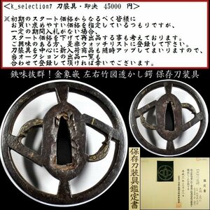 【刀装具 #2870 限定 謝恩SALE！】 （鍔） 鉄味抜群！ 左右竹図透かし 鉄地鍔 金象嵌 保存刀装具 【鉄味の良い名作透かし鍔】