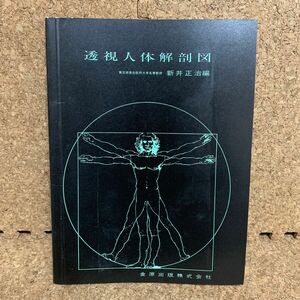 透視人体解剖図　新井正治編　(金原出版)