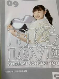 【松本わかな・9】コレクションピンナップポスター ピンポス Hello! Project ANGERME CONCERT TOUR「BIG LOVE」