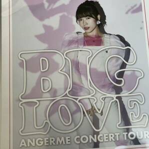 【為永幸音・32】コレクションピンナップポスター ピンポス Hello! Project ANGERME CONCERT TOUR「BIG LOVE」の画像1