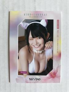  Sakura . tree .2nd trading card photo card 01( cat ear white bikini )167/240