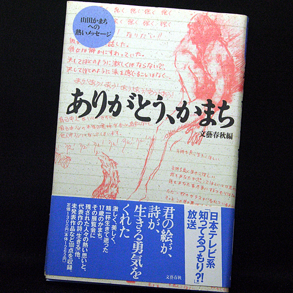 3DO 山田かまち美術館 箱説付き | www.psychologiesport.fr