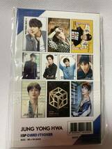 ★CNBLUE(シーエヌブルー)　ヨンファ(JUNG YONG HWA) ステッカーシール 15枚入り_画像3