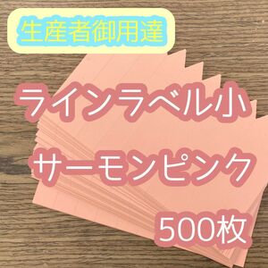 ラインラベル 小 サーモンピンク 500枚 園芸カラーラベル 多肉植物 エケベリア