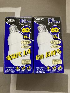 NEC電球形蛍光ランプ　HGボール　密閉器具対応型　E26口金　3波長形昼光色