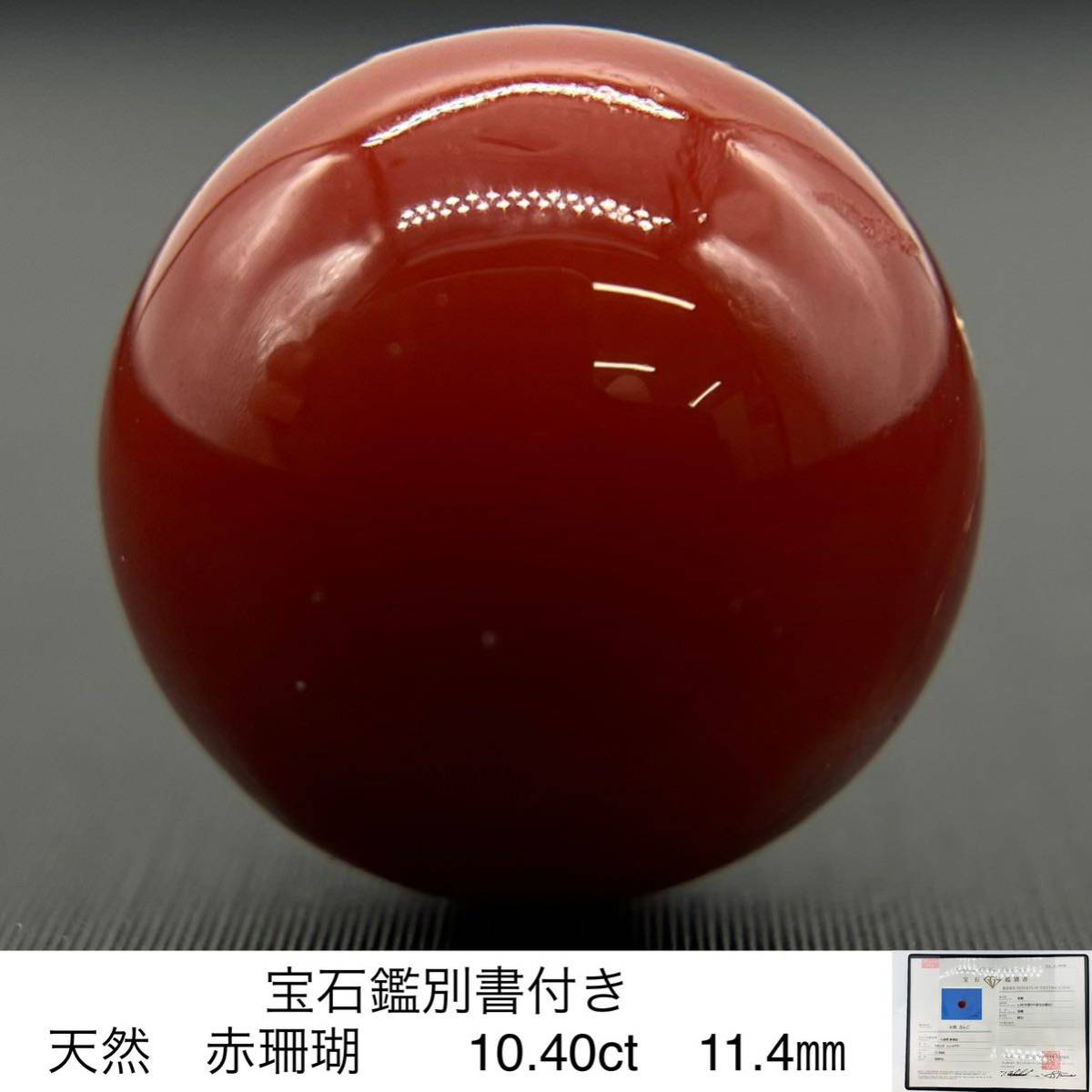 天然 珊瑚 不透明 赤褐色 11.085ct 鑑別書付き | delairesa.com