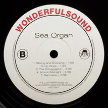 Sea Organ　2016年　LPレコード　未使用DLコード付　Wonderfulsound　WSD28LP　海のオルガン　シーオルガン　環境音　サウンドスケープ_画像6