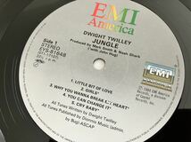 ドゥワイト・トゥイリー Dwight Twilley / ストリート・ジャングル Jungle 帯付LP EMI EYS81648 84年盤,Tom Petty,Buzz Feiten参加,盤美品_画像7