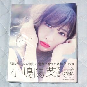 ☆どうする？　小嶋陽菜写真集 ☆【送料無料・匿名発送】