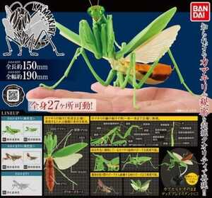 バンダイ カマキリ01 全５種類 新品 リアルフィギュア 昆虫 大人ガチャ おおかまきり ハイクオリティ 本物そっくり