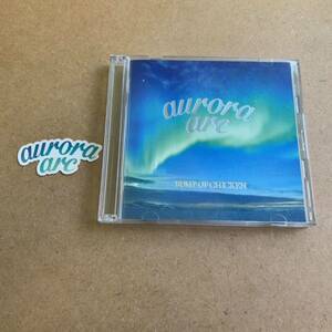 送料無料☆BUMP OF CHICKEN『aurora arc』初回限定盤CD＋DVD☆ステッカー☆美品☆アルバム☆バンプオブチキン☆304