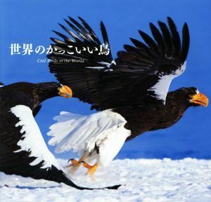 写真集　世界のかっこいい鳥／上田恵介,笠原里恵