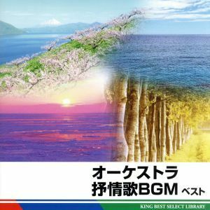 オーケストラ抒情歌ＢＧＭ特選ベスト／クラシック,南安雄（ｃｏｎｄ）,日本フィルハーモニー交響楽団