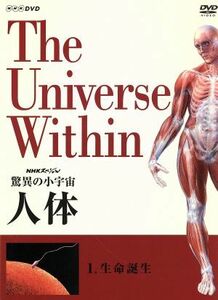 ＮＨＫスペシャル　驚異の小宇宙　人体　生命誕生／タモリ,小出五郎,山根基世