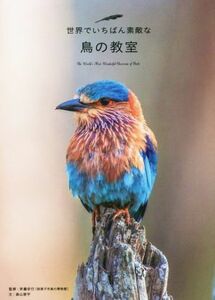 世界でいちばん素敵な鳥の教室／森山晋平(著者),斉藤安行