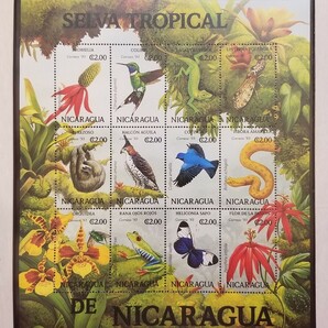ニカラグア 小型シート １２種 昆虫 蝶 花 植物 動物 未使用の画像3